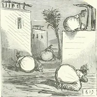 An illustration from Cham (1853)