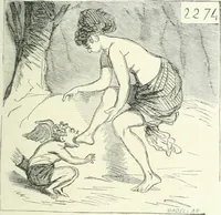 An illustration from Cham (1853)