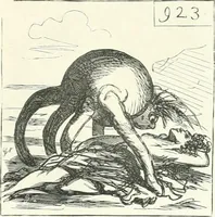 An illustration from Cham (1853)