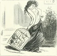 An illustration from Cham (1853)