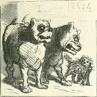 An illustration from Cham (1853)