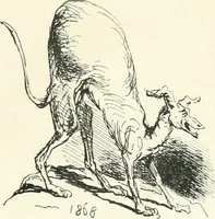 An illustration from Cham (1853)