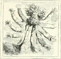 An illustration from Cham (1853)
