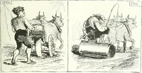 An illustration from Cham (1853)