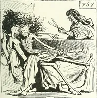 An illustration from Cham (1853)