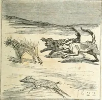 An illustration from Cham (1853)