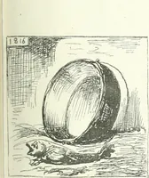 An illustration from Cham (1853)