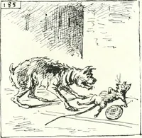 An illustration from Cham (1853)