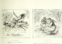 An illustration from Cham (1853)
