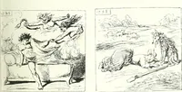 An illustration from Cham (1853)