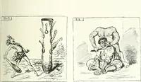 An illustration from Cham (1853)