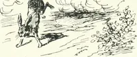 An illustration from Cham (1853)