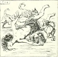 An illustration from Cham (1853)