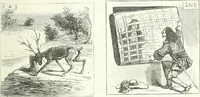 An illustration from Cham (1853)