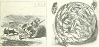 An illustration from Cham (1853)