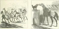 An illustration from Cham (1853)