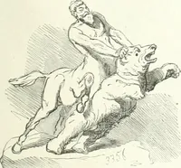 An illustration from Cham (1853)