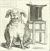An illustration from Cham (1853)