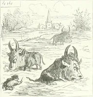 An illustration from Cham (1853)