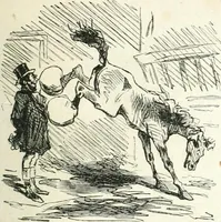 An illustration from Cham (1853)