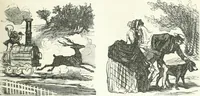 An illustration from Cham (1853)