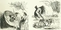 An illustration from Cham (1853)