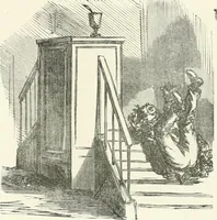 An illustration from Cham (1853)