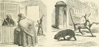 An illustration from Cham (1853)