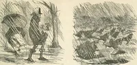 An illustration from Cham (1853)