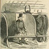 An illustration from Cham (1853)