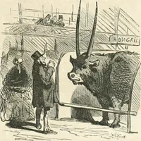 An illustration from Cham (1853)