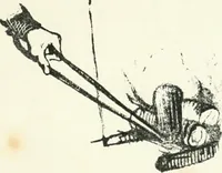 An illustration from Cham (1853)