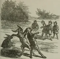 Picture 265 of 706 from Cham (1853), leaf 150