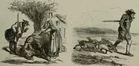 Picture 275 of 706 from Cham (1853), leaf 156