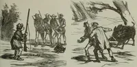 Picture 284 of 706 from Cham (1853), leaf 164