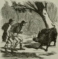 Picture 293 of 706 from Cham (1853), leaf 168