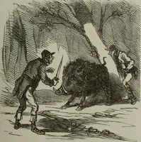 Picture 299 of 706 from Cham (1853), leaf 172