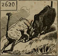 Picture 340 of 706 from Cham (1853), leaf 196