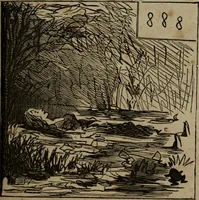 Picture 343 of 706 from Cham (1853), leaf 198