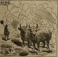 Picture 351 of 706 from Cham (1853), leaf 202