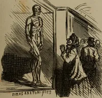 Picture 381 of 706 from Cham (1853), leaf 220