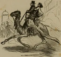 Picture 407 of 706 from Cham (1853), leaf 234