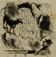 Picture 413 of 706 from Cham (1853), leaf 236
