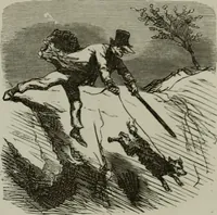 Picture 455 of 706 from Cham (1853), leaf 264