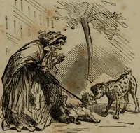 Picture 45 of 706 from Cham (1853), leaf 28