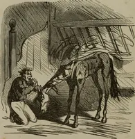 An illustration from Cham (1853)