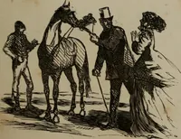 Picture 150 of 706 from Cham (1853), leaf 78