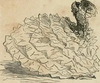 Picture 231 of 736 from Cham (1853), leaf 128