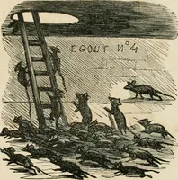 Picture 239 of 736 from Cham (1853), leaf 134