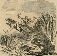Picture 276 of 736 from Cham (1853), leaf 152